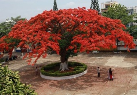 BẢO VỆ TRƯỜNG HỌC